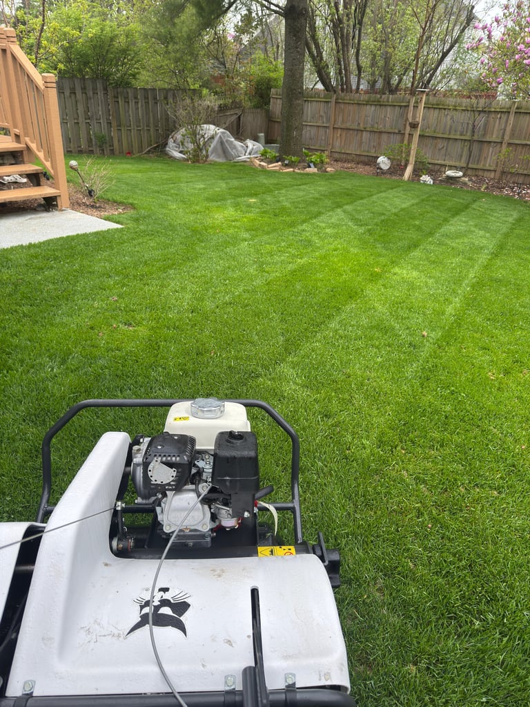White and black lawn mower on a manicured green backyard with wooden fence and trees